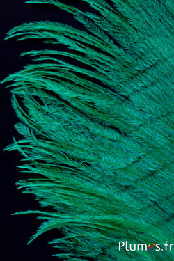 Struzzo barbules - 8-15 cm - rosso